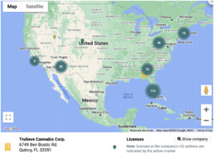 Comprendre le marché unique du cannabis en Floride | Cannabiz Media