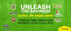 Unleash the Savings – Spectacular New Deals!