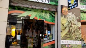 Uruguay’s Historic Legalization: Six Years, And More Than 10 Million Grams Later