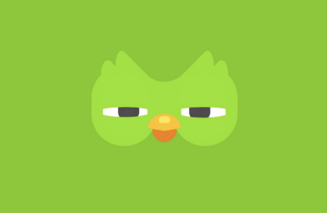Image of the Duolingo owl with half closed eyes, looking suspicious