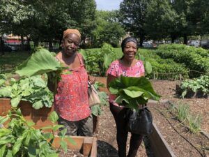 What Do Most Successful Community Gardens Have in Common? - ioby