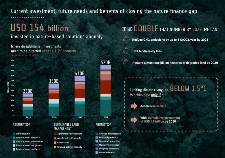 A $150M Boost: Allowing Small Forest Owners to Profit from Carbon Credits