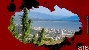 Albaania legaliseerib kanepi meditsiiniliseks ja tööstuslikuks kasutamiseks: majanduskasvu ja avaliku turvalisuse muutja