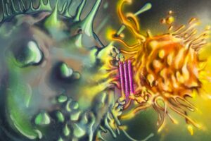 Cấu trúc DNA nhân tạo được gắn kháng thể để chống lại khối u