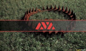 Medvecsapdában ragadt lavina: az AVAX befektetők 99.5%-a veszteségesen tart tokeneket