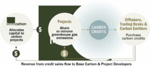 Base Carbon poroča o več kot 100 milijonih USD čistega prihodka