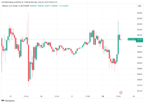 Bitcoin traders pinpoint support levels as BTC price taps $26.2K