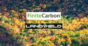 Barrieren überwinden: Familienwaldbesitzern besseren Zugang zu Kohlenstoffmärkten ermöglichen