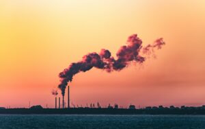 أرصدة الكربون ضرورية للعمل المناخي - رأس مال ائتمان الكربون