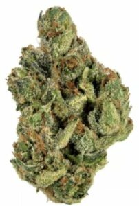Variedad Clementine - Tutoriales de cannabis