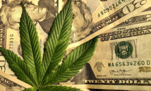 Enfriando la inflación y el consumidor de marihuana