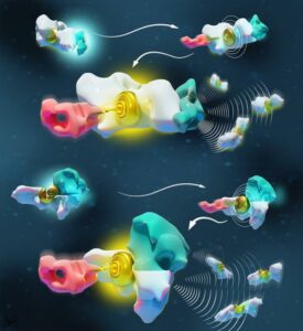 Розшифровка того, як молекули «розмовляють» одна з одною для розробки нових нанотехнологій