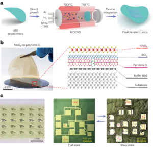 Direct synthesis of MoS2 films on flexible substrates at low temperature - Nature Nanotechnology