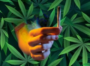 Ti senti sballato fumando fiori di cannabis ad alto contenuto di CBD e a basso contenuto di THC? (Un passo sopra la canapa?)