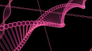 Електрогенетичне дослідження виявило, що одного дня ми зможемо контролювати наші гени за допомогою носіїв