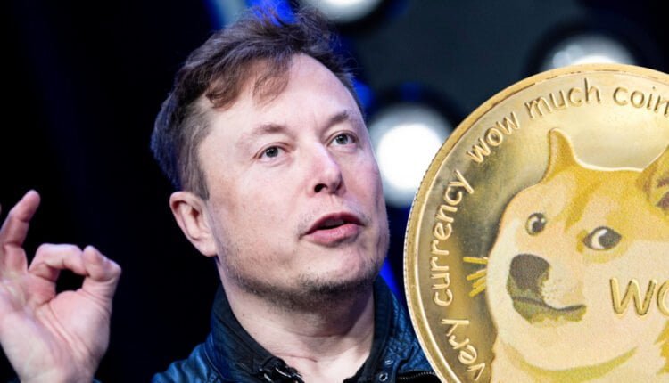 Elon Musk dit que X (Twitter) est un endroit convivial pour Dogecoin (Doge) - Bitcoinik