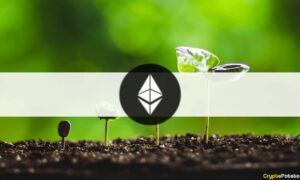 Ethereum Foundation ประกาศ $9M ใน Q2 Project and Conference Funding
