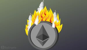 Ethereum Whale Burns 2,500 ETH; Crypto Community Questions Motive