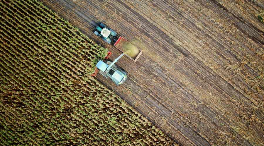 Fintech a mezőgazdaságban: Hogyan erősítik a digitális platformok a mezőgazdasági termelőket