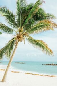 פנינה סודית של פלורידה קיז - מדריך פנימי לחוף קי קולוני