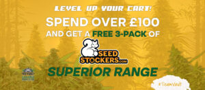 Szerezzen 3 INGYENES Seedstockers Superior Seed-t minden 100 GBP + vásárlás után!
