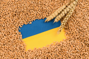 Po ruskem napadu na ukrajinsko pristanišče so svetovne cene žita poskočile