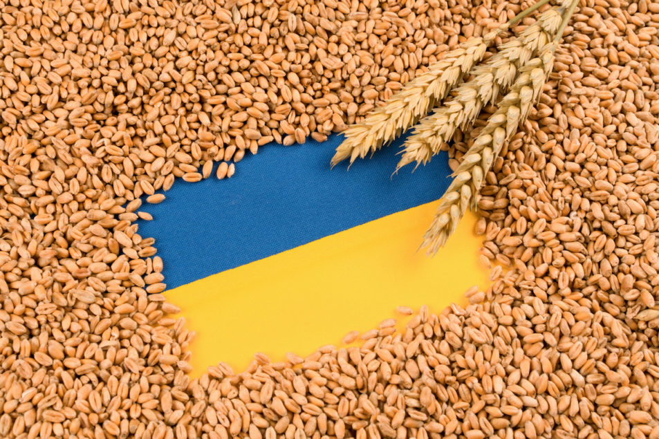 Global Grain Prices Soar Following Russian Attack on Ukrainian Port