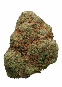 Tulpina Golden Goat - Tutoriale de Cannabis