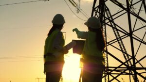 Government-commissioned report recommends fast-tracking grid updates, but rural observers urge caution and consultation | Envirotec