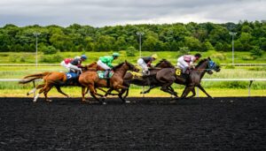 Online gids paardenrennen - Zet nu in op JeetWin | JeetWin-blog