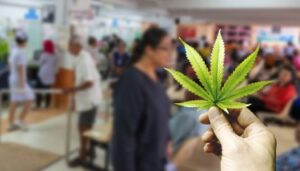 Hoe cannabis genezing bevordert, terwijl Big Pharma ziektebeheer bevordert