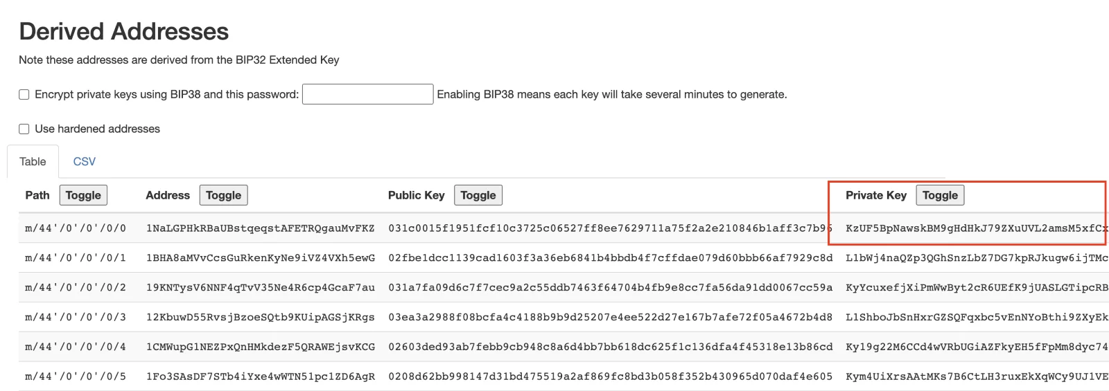 Step 8. Copy the Generated Private Key 