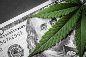 La cannabis dell'Illinois è tra le erbacce più costose d'America