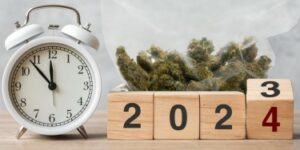 Mai merită să obțineți un card de marijuana medicală în 2024?