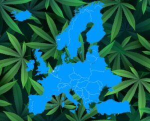 Er ugress lovlig i Europa nå? Ja, nei, Sorta, her og der - Hva bør du vite om EU-legalisering