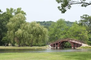 Is Westfield, MA, a Good Place to Live? 10 Pros and Cons to Consider