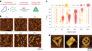 Automontagem isotérmica de nanoestruturas de DNA multicomponentes e evolutivas - Nature Nanotechnology