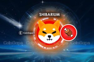 Just-in: Shiba Inu Lead Developer lanserer siste Shibarium-skaleringsoppdatering