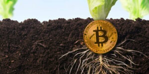 Η έκθεση KPMG Bitcoin σηματοδοτεί «ένα ορόσημο που πρέπει να γιορτάζει το οικοσύστημα του Bitcoin»: Αναλυτής - Αποκρυπτογράφηση