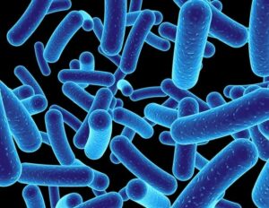 Light-driven bacteria could be used to target and kill cancer cells