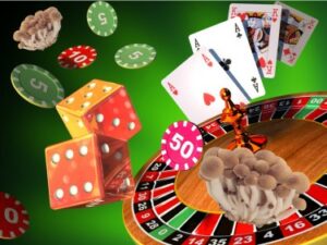 Varázsgomba, amely segít leszokni a szerencsejáték-függőségéről? Új orvosi tanulmány indul idén ősszel