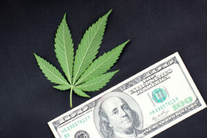 Vendas de cannabis em Michigan atingem recorde e lucros, outra história