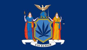 Militære veteraner går til sak mot New Yorks Cannabis-lisensregler