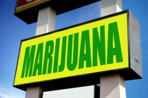 Rechter in New York onderbreekt vergunning voor cannabisapotheek | Hoge tijden
