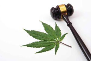 New Yorks højesteretsdommer ophæver forbuddet for et lille antal cannabislicenser