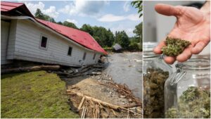 Οι διοργανωτές ελπίζουν να συγκεντρώσουν κεφάλαια για τα πλημμυρισμένα καταστήματα ποτ στο Βερμόντ
