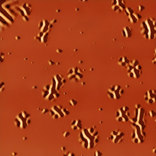 An atomic force microscopy image showing local wrinkles forming in the glass layer