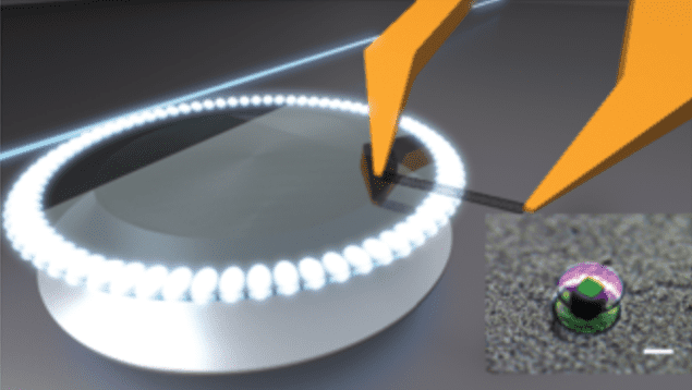 Carbon nanotube over optical microcavity