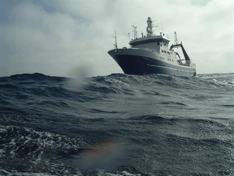 Researchers call for the urgent expansion of Southern Ocean science