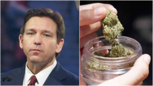 Ron DeSantis bekræfter, at han ikke ville legalisere brug af voksne, hvis han blev valgt til præsident, advarer mod fentanyl-snøret gryde